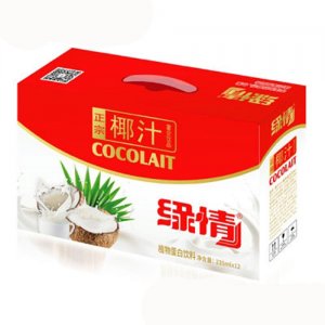 緣情椰汁植物蛋白飲料235mlX12