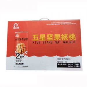 涪江源五星堅(jiān)果核桃植物蛋白飲料