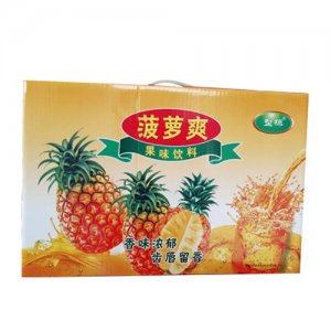 型棟菠蘿爽果味飲料