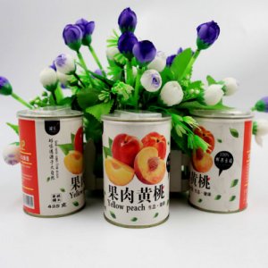 安徽省碭山興達罐業(yè)食品有限公司