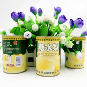 糖水碭山罐頭食品