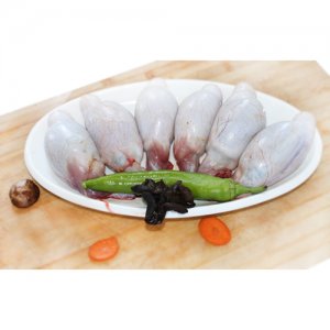 草原晶鑫 羊?qū)?>
									<div   id=