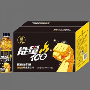 名妙能量100強化型維生素飲料600mlx15瓶