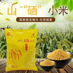 汾東硒小米1kg