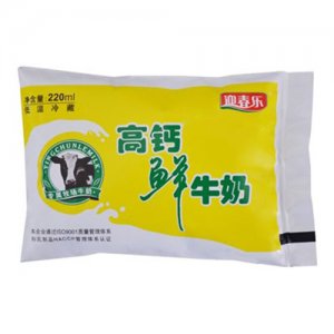 迎春樂高鈣鮮牛奶