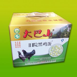 青青巴山大巴山萬源舊院黑雞蛋禮箱