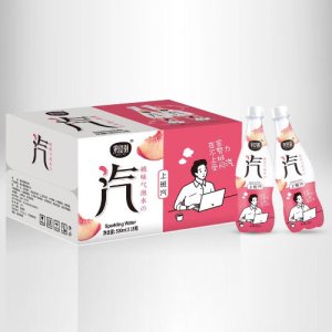 果時(shí)刻—桃味氣泡水