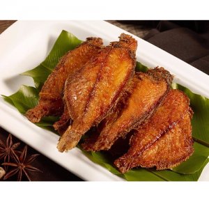 九多肉多深海香魚(yú)