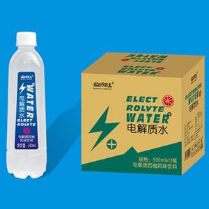 運(yùn)動(dòng)范兒電解質(zhì)水500ml