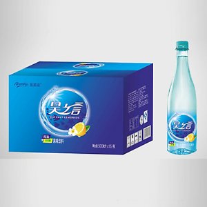 昊萊福昊之言果味飲料500mlX15