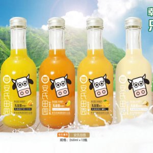 安氏春天安氏田園乳酸菌268ml