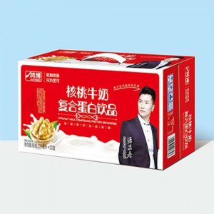 鴻博核桃牛奶復(fù)合蛋白飲品250毫升l×20盒