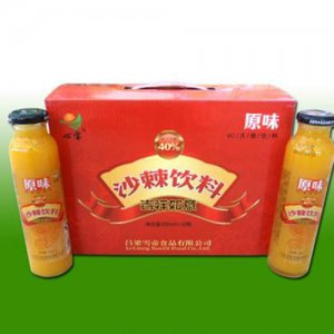 心寶沙棘飲料吉祥如意300ml×10瓶