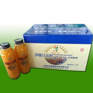 心寶沙棘汁飲料350ml×15瓶