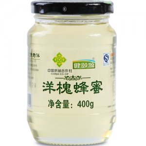 健頤源洋槐蜂蜜400g