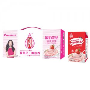 宜養(yǎng)酸奶飲品草莓味（250ML）