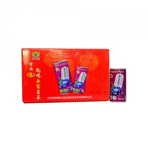 永富野生藍(lán)莓果汁飲料