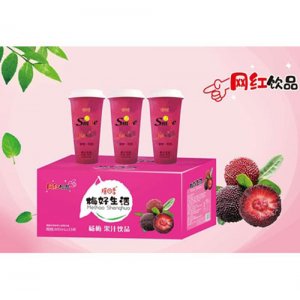 搖四季楊梅果汁飲品600mlX15