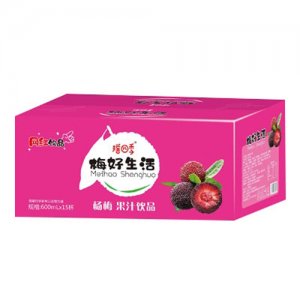 搖四季楊梅果汁飲品600mlX15杯