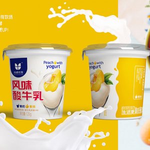 優(yōu)卓優(yōu)享黃桃風(fēng)味酸牛乳120g