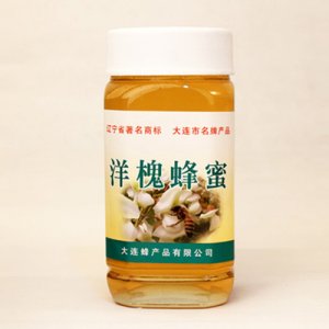 黎光牌洋槐蜂蜜900g