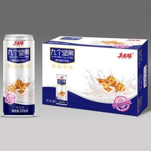 真英雄九個(gè)堅(jiān)果花生味蛋白飲料