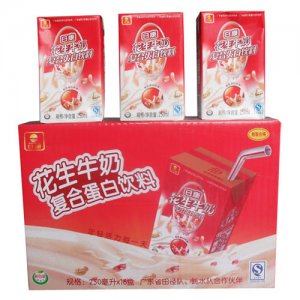 日康花生乳復合蛋白飲料250ml