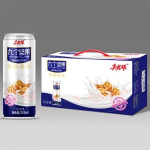 真英雄九個(gè)堅(jiān)果花生味蛋白飲料手提