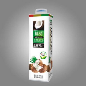 椰曼熱帶版椰子汁600g