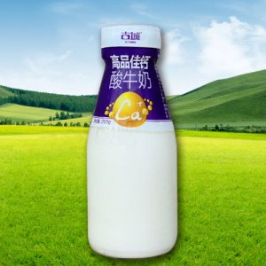 古城瓶裝-高品佳鈣酸牛奶