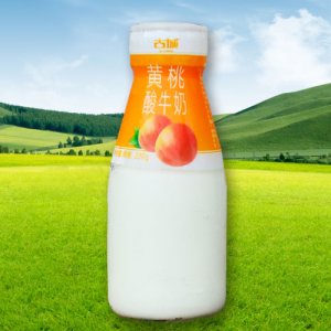 古城瓶裝-黃桃酸牛奶
