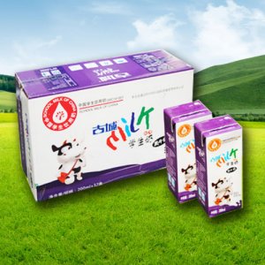 古城學(xué)生奶黑牛奶