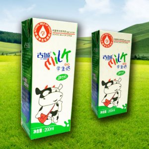 古城學(xué)生奶甜牛奶