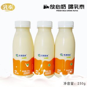 乳泰朗姆酸牛奶-250g