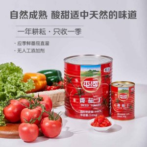 屯河番茄丁390g