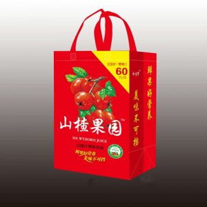 今生夢山楂果園山楂汁果味飲料