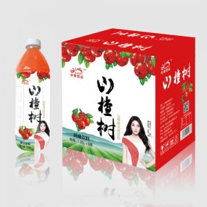 中奧飲品山楂樹山楂風(fēng)味飲料500mlx15瓶