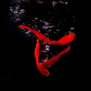 民福記泡紅椒和泡圓紅椒