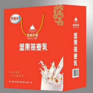 好彩頭高加米亞堅果燕麥乳品箱裝