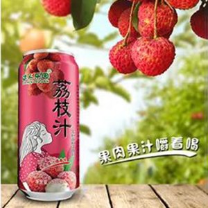 達(dá)人樂園荔枝果肉果汁