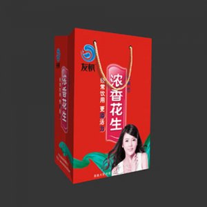 思杰蛋白飲料濃香花生袋裝