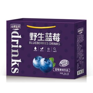 山果寶貝野生藍(lán)莓果味飲品250mlx12盒