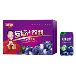 山果寶貝藍(lán)莓汁飲料禮盒