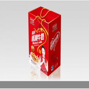樂(lè)源核桃牛奶禮盒