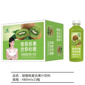 九州華洋獼猴桃復(fù)合果汁飲料簡(jiǎn)箱