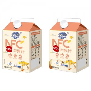 匯多滋N(yùn)FC100蘋果汁458ml