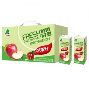 北大荒蘋果汁飲料簡箱