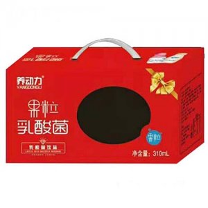 長(zhǎng)澤乳業(yè)養(yǎng)動(dòng)力果粒乳酸菌