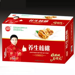 民歡養(yǎng)生核桃250mlX20