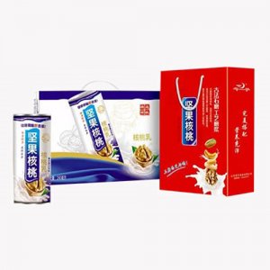 堅(jiān)果核桃核桃乳240ml